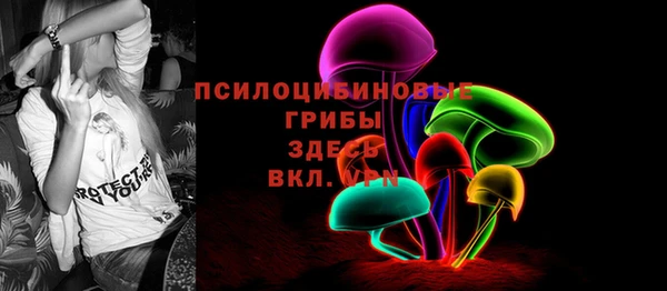 a pvp Алексин