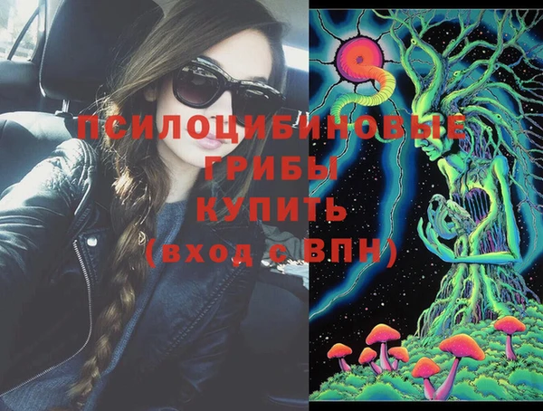 a pvp Алексин