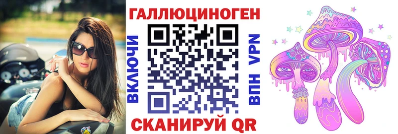 где купить наркотик  Юрьев-Польский  Псилоцибиновые грибы мицелий 
